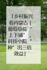 乡村振兴看内蒙古｜葡萄草莓“上下铺”，科技小院“种”出三倍效益