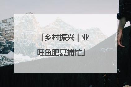 乡村振兴｜业旺鱼肥夏捕忙
