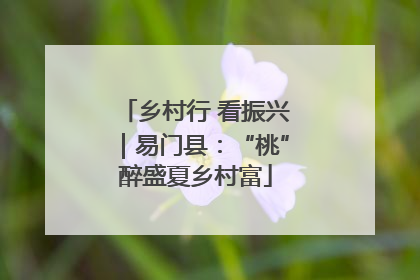乡村行 看振兴｜易门县：“桃”醉盛夏乡村富