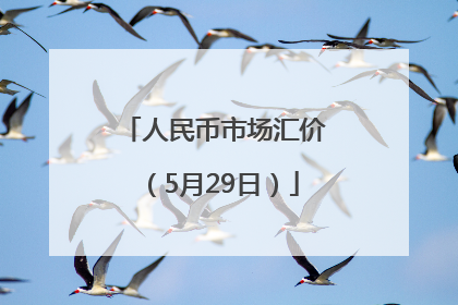 人民币市场汇价（5月29日）