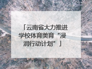 云南省大力推进学校体育美育“浸润行动计划”