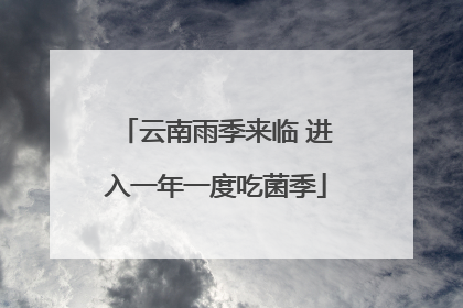 云南雨季来临 进入一年一度吃菌季