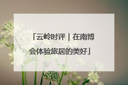 云岭时评｜在南博会体验旅居的美好