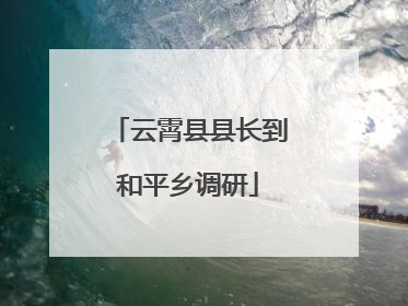 云霄县县长到和平乡调研