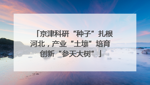 京津科研“种子”扎根河北，产业“土壤”培育创新“参天大树”
