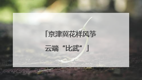 京津冀花样风筝云端“比武”