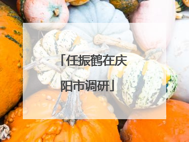 任振鹤在庆阳市调研
