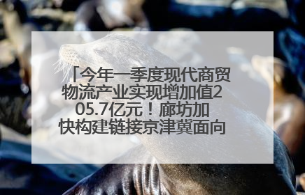 今年一季度现代商贸物流产业实现增加值205.7亿元！廊坊加快构建链接京津冀面向全世界的物流通道