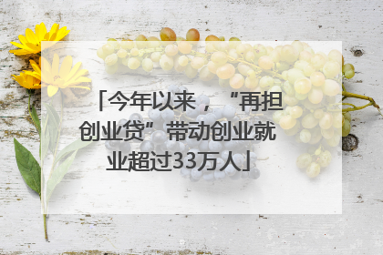 今年以来，“再担创业贷”带动创业就业超过33万人