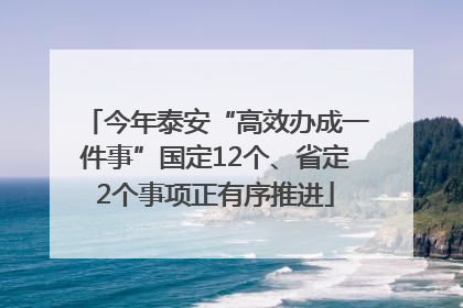 今年泰安“高效办成一件事”国定12个、省定2个事项正有序推进