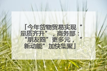 今年货物贸易实现“量质齐升”，商务部：“朋友圈”更多元，“新动能”加快集聚