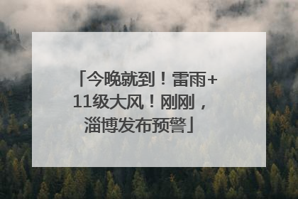 今晚就到！雷雨+11级大风！刚刚，淄博发布预警