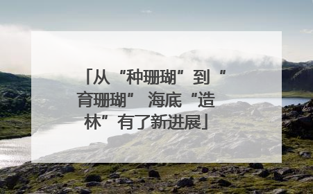 从“种珊瑚”到“育珊瑚” 海底“造林”有了新进展