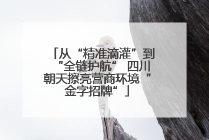 从“精准滴灌”到“全链护航” 四川朝天擦亮营商环境“金字招牌”