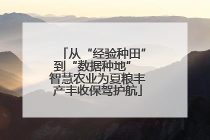 从“经验种田”到“数据种地” 智慧农业为夏粮丰产丰收保驾护航