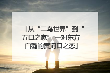 从“二鸟世界”到“五口之家” 一对东方白鹳的黄河口之恋