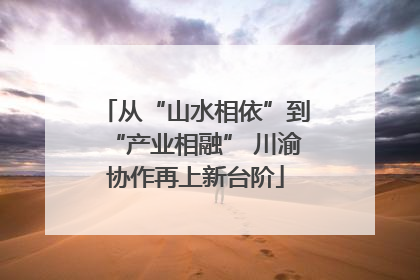 从“山水相依”到“产业相融” 川渝协作再上新台阶