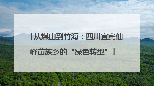 从煤山到竹海：四川宜宾仙峰苗族乡的“绿色转型”