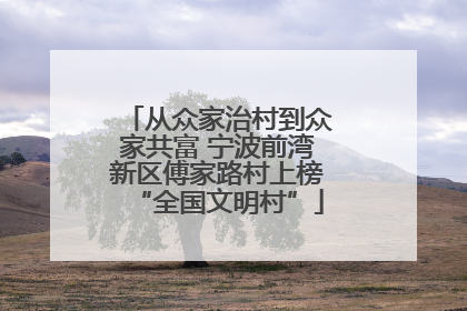 从众家治村到众家共富 宁波前湾新区傅家路村上榜“全国文明村”
