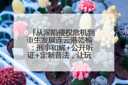 从深陷侵权危机到重生发展连云港赣榆：刑事和解+公开听证+定制普法，让玩具公司回到正轨