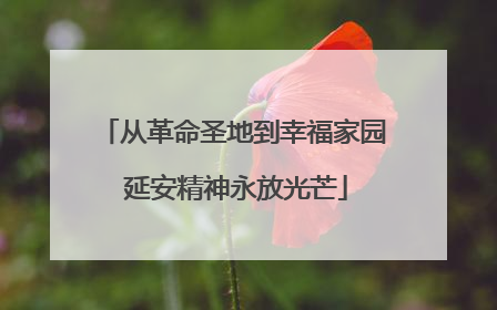 从革命圣地到幸福家园 延安精神永放光芒