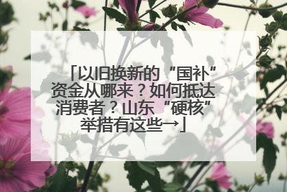 以旧换新的“国补”资金从哪来？如何抵达消费者？山东“硬核”举措有这些→