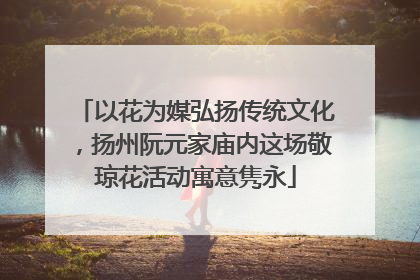 以花为媒弘扬传统文化，扬州阮元家庙内这场敬琼花活动寓意隽永