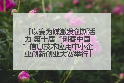 以赛为媒激发创新活力 第十届“创客中国”信息技术应用中小企业创新创业大赛举行