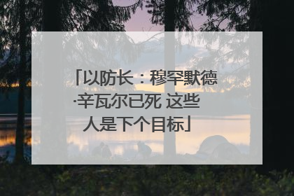 以防长：穆罕默德·辛瓦尔已死 这些人是下个目标