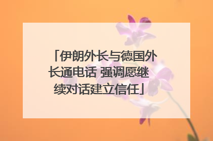 伊朗外长与德国外长通电话 强调愿继续对话建立信任