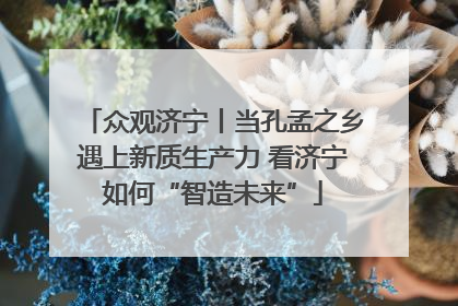 众观济宁丨当孔孟之乡遇上新质生产力 看济宁如何“智造未来”