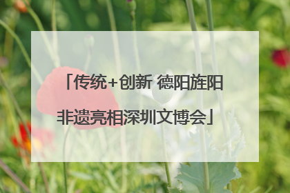 传统+创新 德阳旌阳非遗亮相深圳文博会