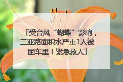 受台风“蝴蝶”影响，三亚路面积水严重1人被困车里！紧急救人