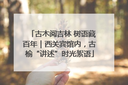 古木阅吉林 树语藏百年｜西关宾馆内，古榆“讲述”时光絮语