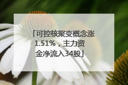 可控核聚变概念涨1.51%，主力资金净流入34股