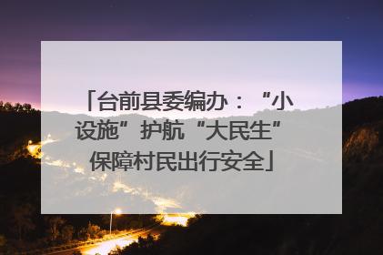 台前县委编办：“小设施”护航“大民生” 保障村民出行安全