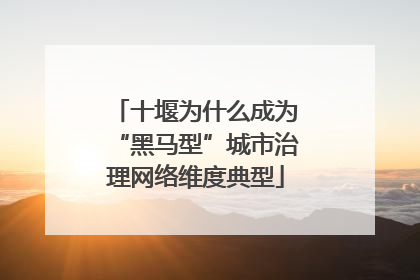 十堰为什么成为“黑马型”城市治理网络维度典型