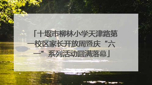 十堰市柳林小学天津路第一校区家长开放周暨庆“六一”系列活动圆满落幕