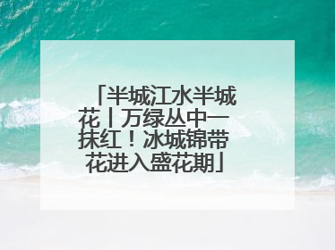半城江水半城花丨万绿丛中一抹红！冰城锦带花进入盛花期