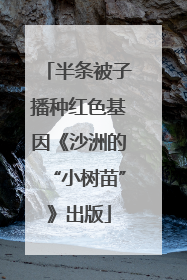 半条被子播种红色基因《沙洲的“小树苗”》出版