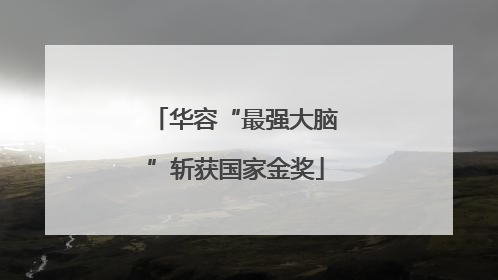 华容“最强大脑”斩获国家金奖