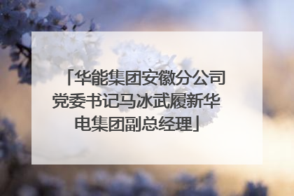 华能集团安徽分公司党委书记马冰武履新华电集团副总经理
