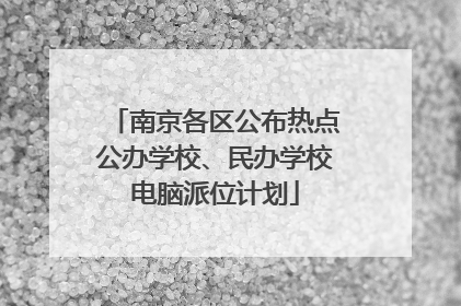 南京各区公布热点公办学校、民办学校电脑派位计划
