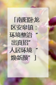 南阳卧龙区安皋镇：环境整治“出真招” 人居环境“焕新颜”