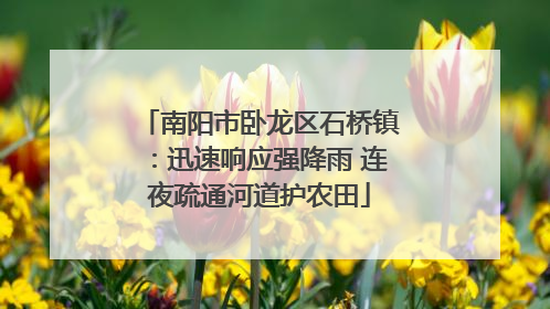 南阳市卧龙区石桥镇：迅速响应强降雨 连夜疏通河道护农田