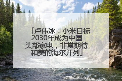 卢伟冰：小米目标2030年成为中国头部家电，非常期待和美的海尔并列
