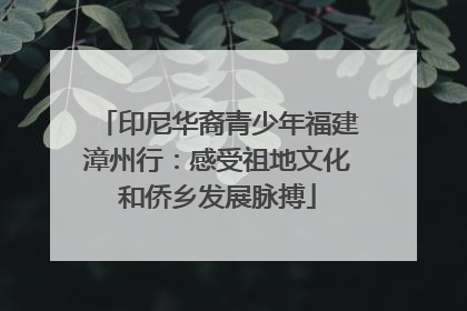 印尼华裔青少年福建漳州行：感受祖地文化和侨乡发展脉搏