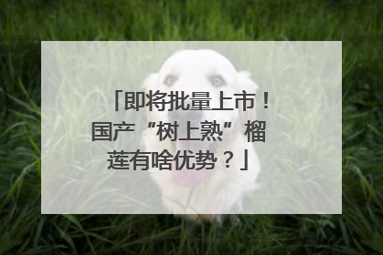 即将批量上市！国产“树上熟”榴莲有啥优势？