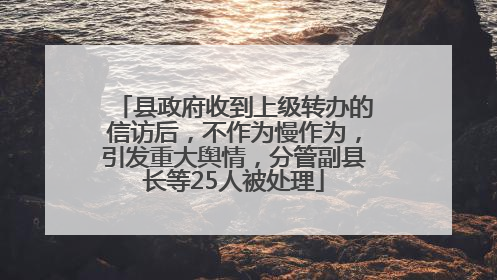 县政府收到上级转办的信访后，不作为慢作为，引发重大舆情，分管副县长等25人被处理