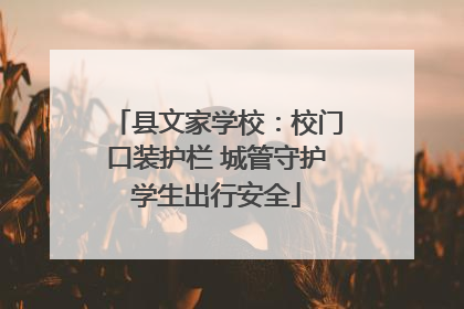 县文家学校：校门口装护栏 城管守护学生出行安全